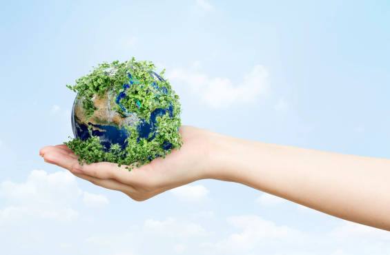 Graphical representation of plant growth on earth on Hand