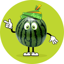 Aries animated watermelon