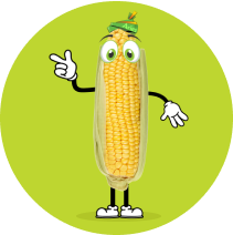 Aries Animated Maize image