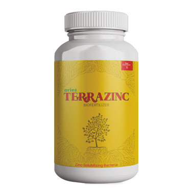 Aries Terrazinc-project